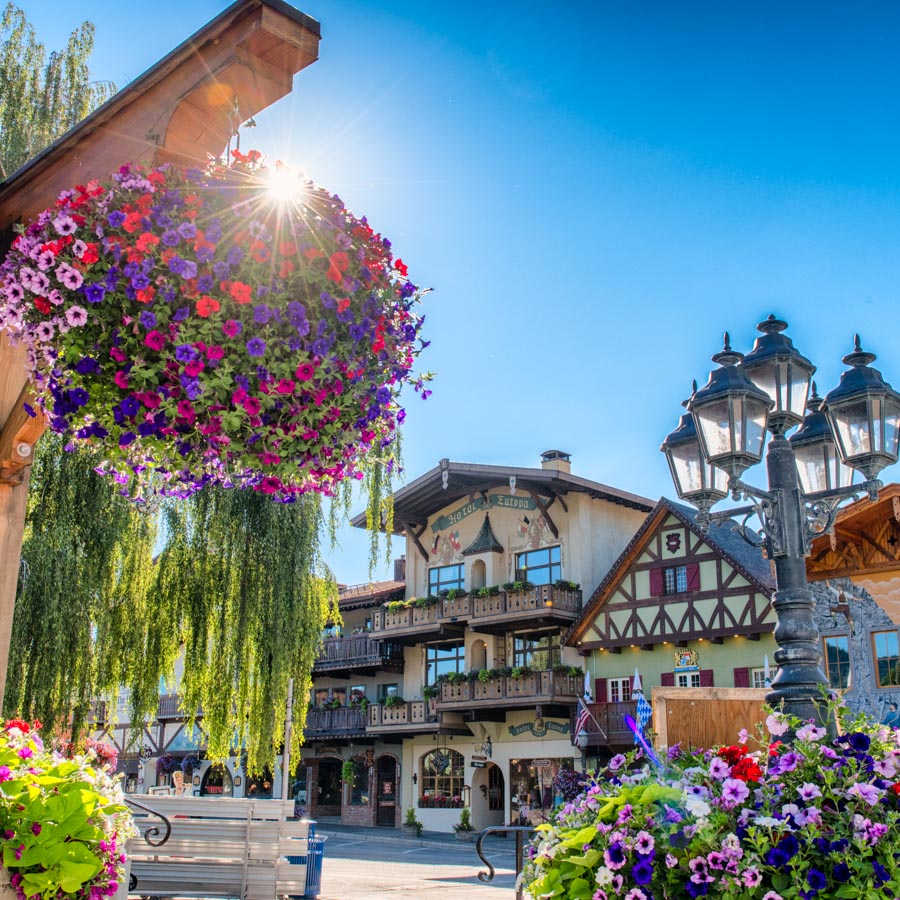 Leavenworth village with flowers in sunshine